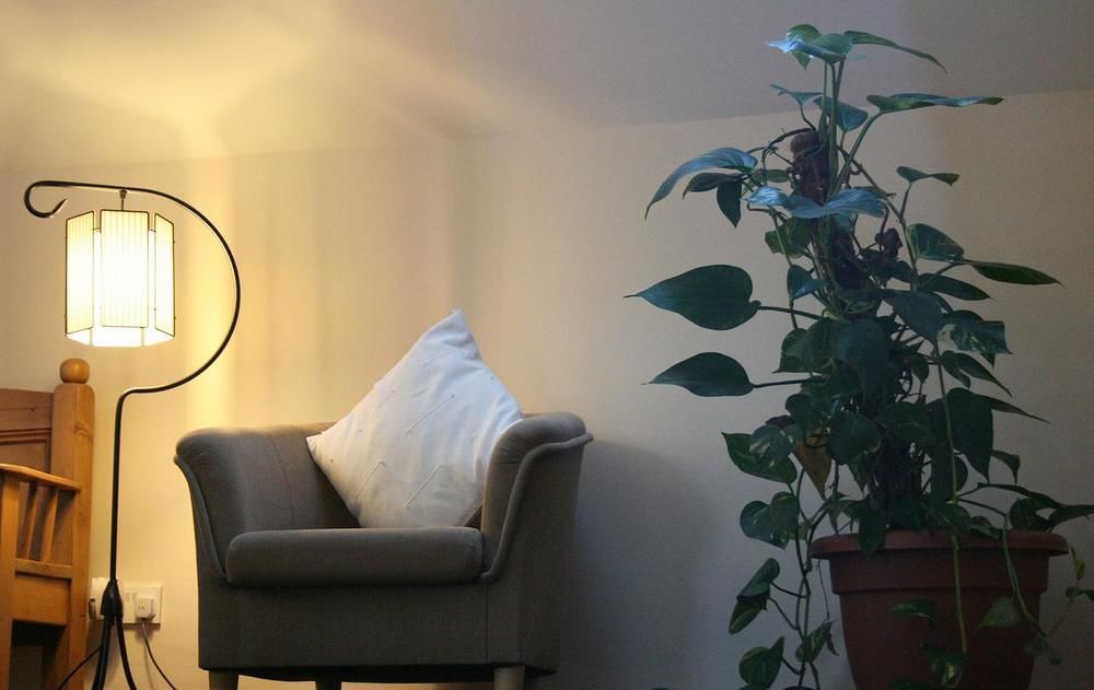 Ross House Bed & Breakfast Roscommon Dış mekan fotoğraf